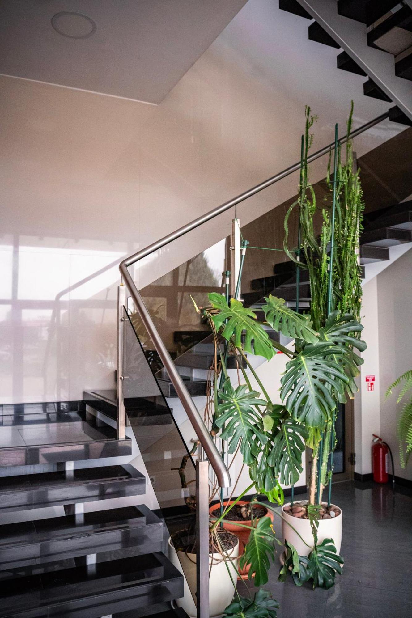 Hotel Pas Katina Panevezys Bagian luar foto